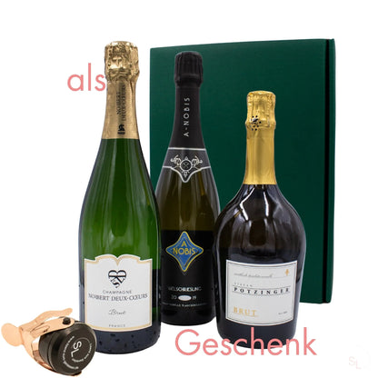 Winzersekt Paket Chardonnay Weingut Potzinger